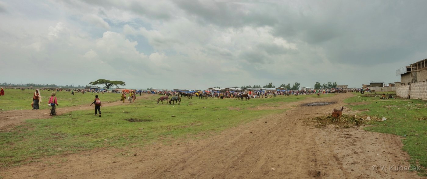 [Group 39]-DSC 7548 DSC 7549-2 images